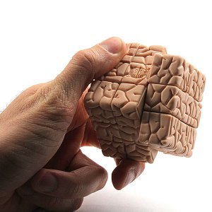 Neuroplasticidade