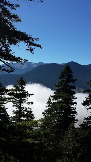  photo b399ec2b-4d82-409c-9675-bd9e6d246f1c_zpsfqj2qh3q.jpg