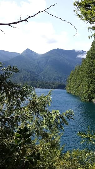  photo 99193808-eb2f-45ec-ba43-9bf07bd41ef8_zpsw2bmysh8.jpg