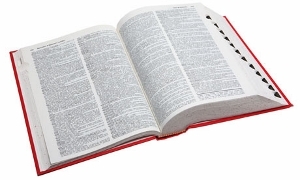 Dictionary-007 (300x180)