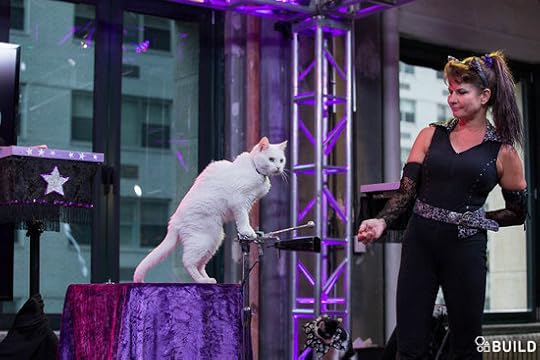 Samantha-Martin-Acro-Cats