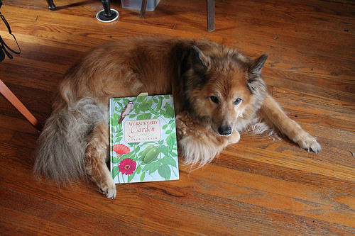 chowhound with garden book