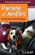 ParadeMisfitsBkCoverCayr