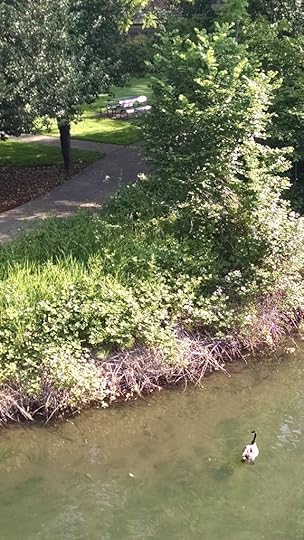 IMG_20150529_082338657[1]