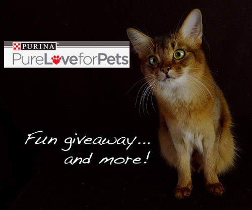 Purina Pure Love for Pets - Purrsonalized graphic