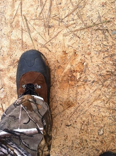 FYI, that's my size eleven boot next to a bear track. They're a thing here.