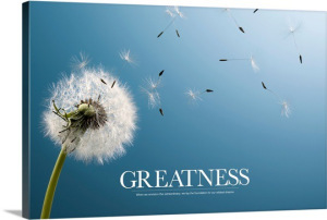 inspirational-motivational-poster-when-we-envision-the-extraordinary,1054698