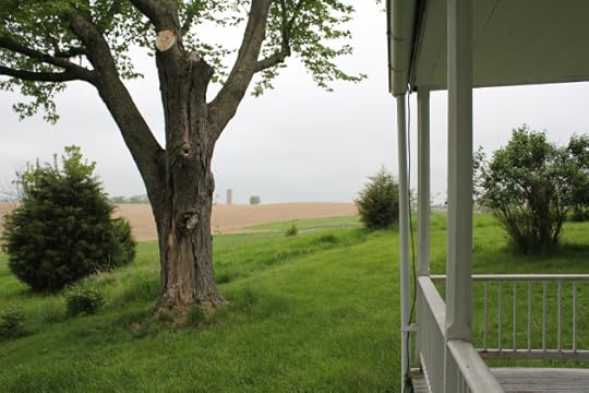 5. View toward the Observation Tower at Bloody Lane from the Roulette Farm Porck. The Irish Brigade advanced from left to right across the cornfield to engage the Confederates.