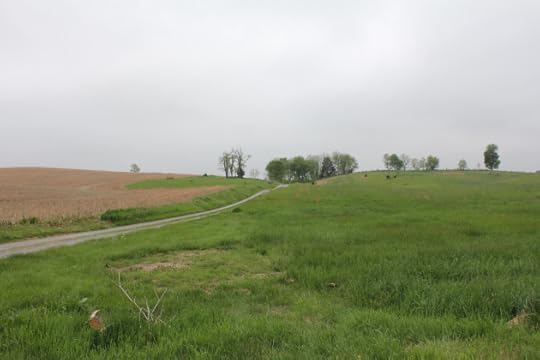 6. The Roulette Farm Lane which led to the Confederate position on Bloody Lane. The 69th New York Infantry on the right of the Brigade guided on this lane for their advance.