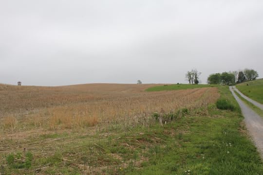 8. View of ground over which the Irish Brigade advanced, with the Roulette Farm Lane representing their right and the Observation Tower on Bloody Lane visible opposite their left.