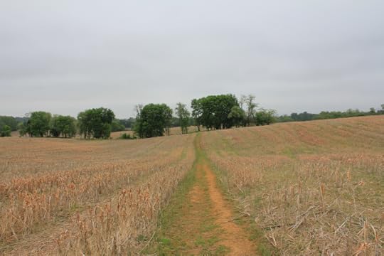 9. View that Confederate skirmishers would have had towards the advancing Irish Brigade.