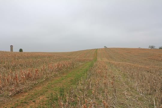 10. View the advancing Irish Brigade had towards Confederate skirmishers, with the Bloody Lane beyone the crest beyond. The swales in the field, which undoubtedly contributed towards differential casualties in the Brigade, are clearly visible.