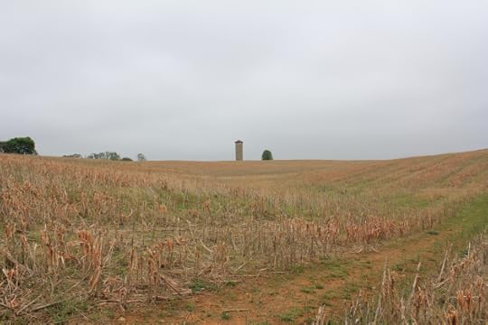 12. View of the major swale across the ground which the Irish Brigade advanced. This swale contributed towards increased casualties among certain regiments of the Brigade.
