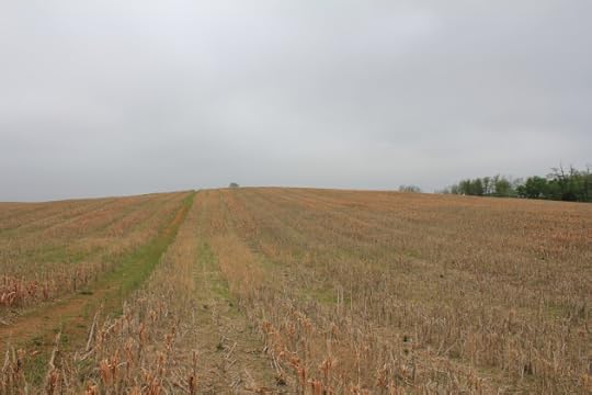 14. The higher ground on the right of the line, which allowed the 29th Massachusetts to advance under more cover than their exposed neighbours in the 63rd.