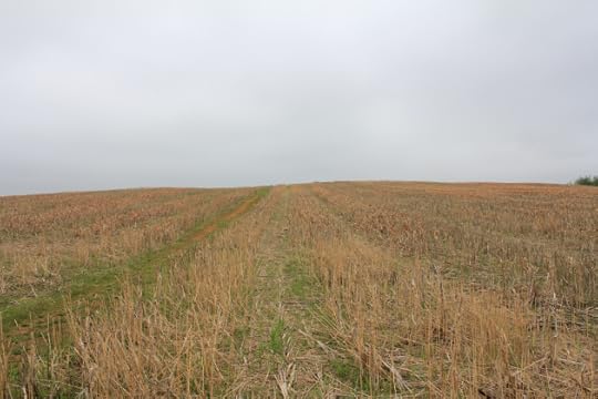 15. The immediate reverse slope of some of the high ground over which the Irish Brigade advanced. On cresting this ridge they faced directly into Bloody Lane.