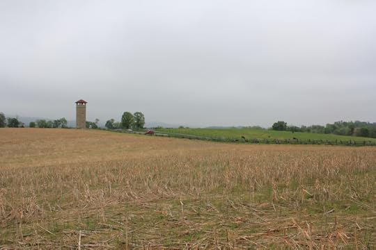17. Another view from the crest towards Bloody Lane towards the Confederate positions, again showing the swale which would have so exposed some of the Irish Brigade.