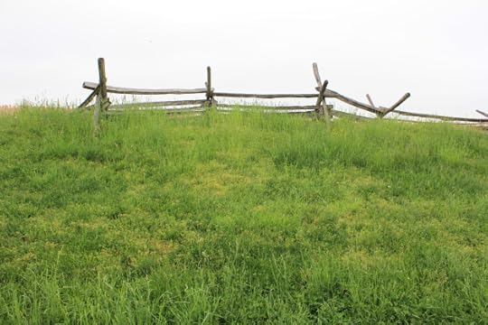 19. The view the Confederates would have had from the base of the Sunken Lane. Although a strong position, the depth of the lane clearly demonstrates that the defenders had to expose themselves to effectively fire at the Irish Brigade.