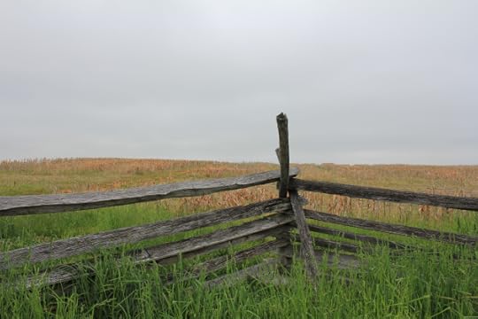 20. Having climbed to the edge of the lane, this is the view the Confederates had who were engaging the Irish Brigade only a few dozen yards away.