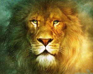 beautiful-lion-wallpapers-1280x1024