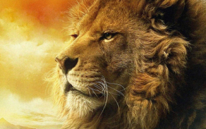 nature%20animals%20wildlife%20lions%201919x1200%20wallpaper_www_animalhi_com_45