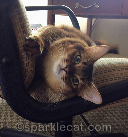 I will share my chair with you