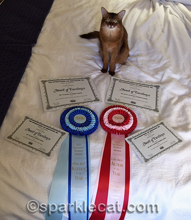 I did pretty well last season!