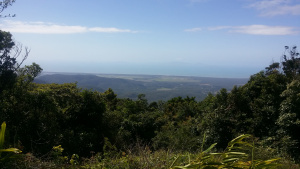 McLellands Lookout