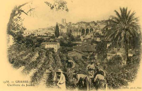  photo 791c00ab-0d1b-43f1-8427-844f01e9072e_zps1ce0qmpc.png