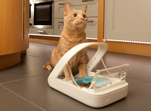 microchip-feeder