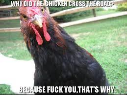 chicken