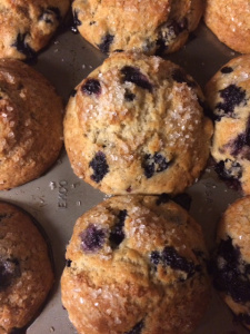 Blueberry Muffins
