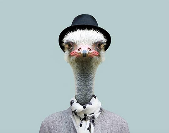 Photo by Yago Partal