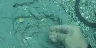 Image result for Eric Schmidt finds gold