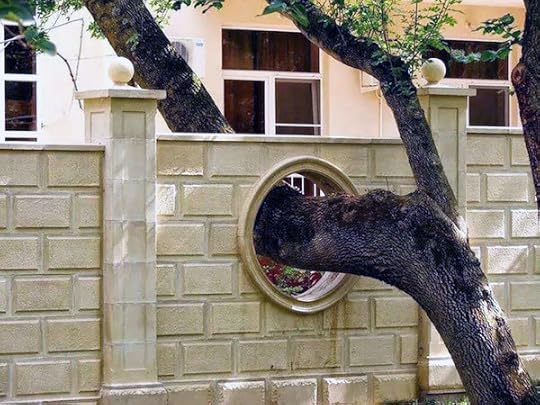 Tree here first!