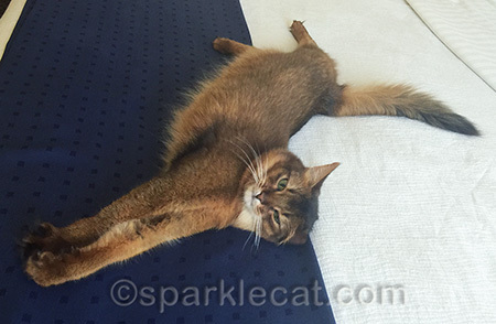 flop and stretch