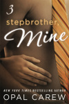 Stepbrother, Mine - Part 3 by Opal Carew