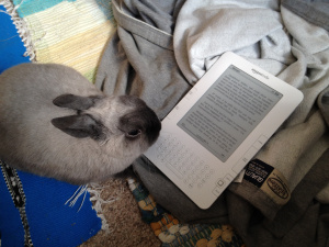 Guess what she prefers.