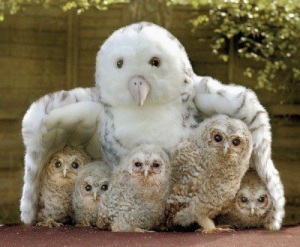 group hug 4