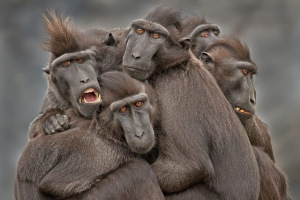 Alright-group-hug-qe8h7rgw6