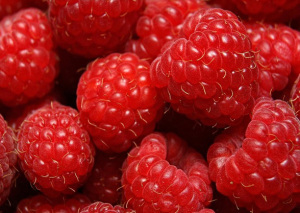 Rasberry