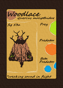 wood card border_final