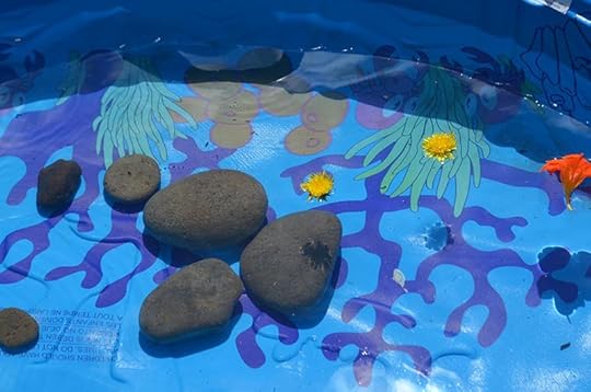 nature-play-pool