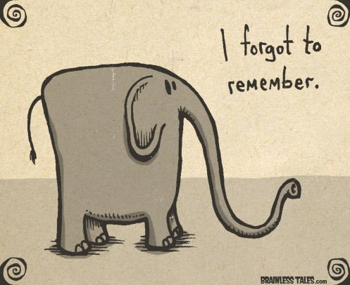 forgot-remember