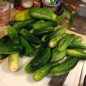 pickles 1