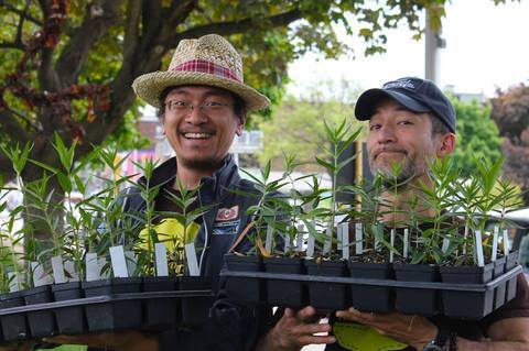 Photo: Homegrown rain gardens win Toronto innovation award