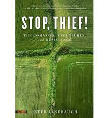 stop thief