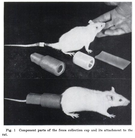 prevention of coprophagy