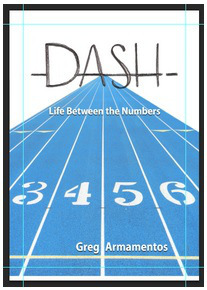 dash cover