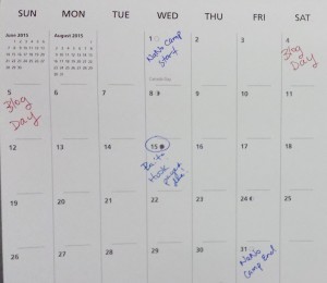 My writing calendar.