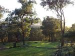 warrandyte mist at dawn
